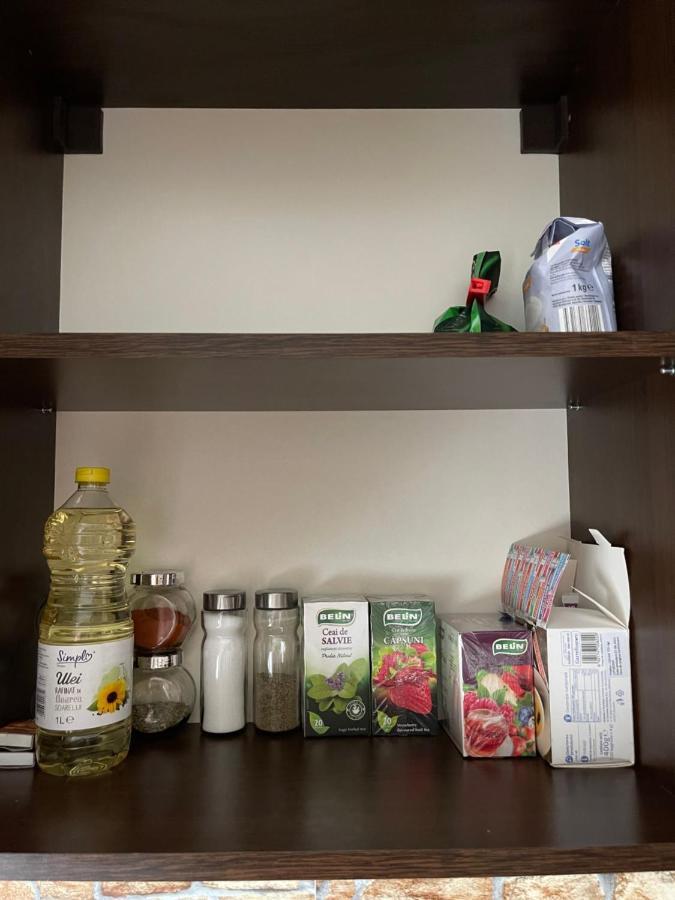 Apartment Cozy 1 Bedroom Nearby Value Center Mall Zalau