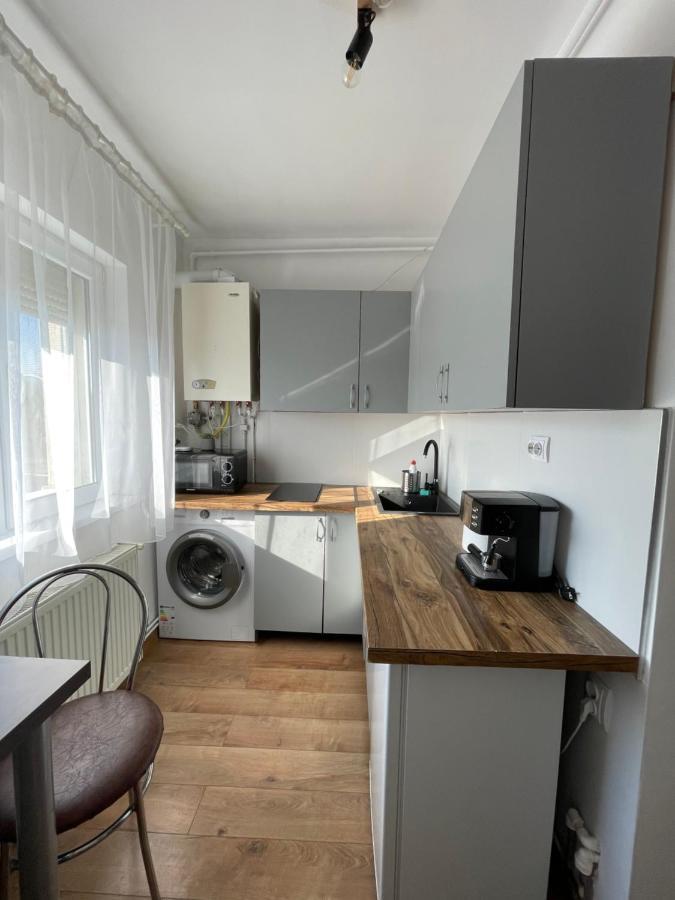 Cozy 1 Bedroom Nearby Value Center Mall Apartment Zalau